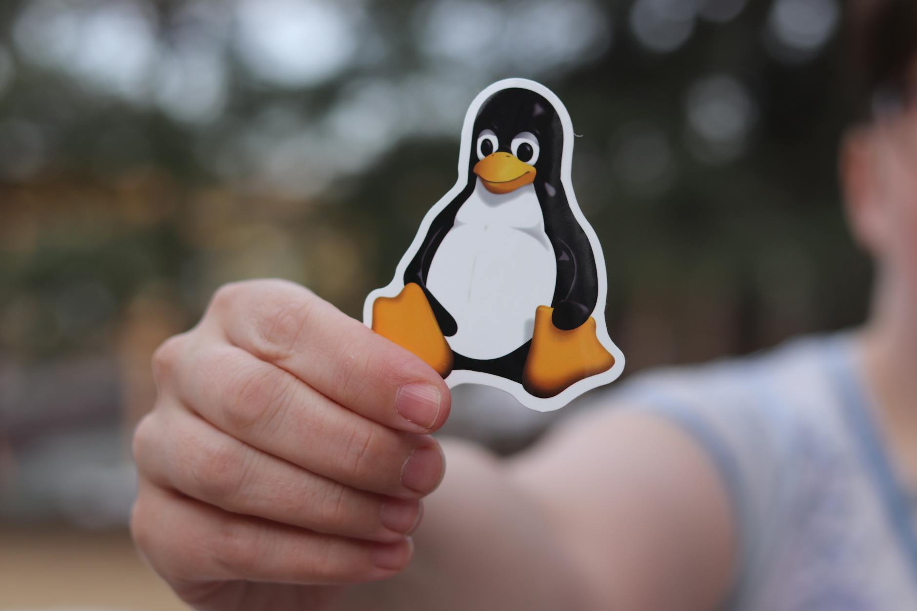A close-up shot of a hand holding a penguin sticker against a blurred outdoor background.